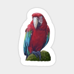 Scarlet Macaw - Digital illustration Magnet