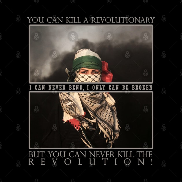 Free Palestine - Revolution by Space Monkeys NFT