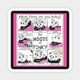 The Moods of Pinky Magnet