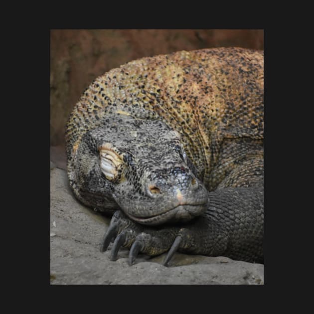 Komodo Dragon by Sharonzoolady