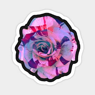 Galaxy Rose Magnet