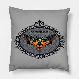 Death's Head HawkMoth Framed Pillow