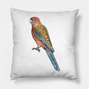 Adelaide Rosella Pillow