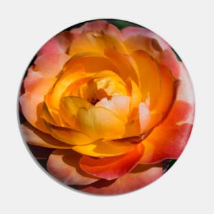 Single Orange Rose Pin