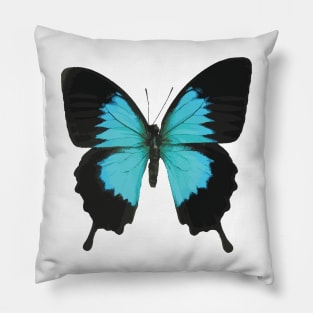 Black and Blue Butterfly Pillow