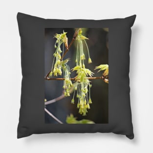 Nature's Earrings Pillow