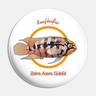 Zebra Acara Cichlid Pin