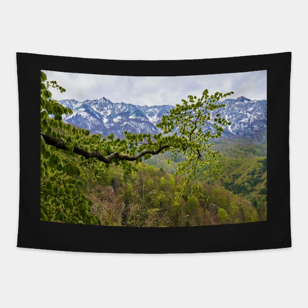 Springtime landscape through forest Tapestry by naturalis