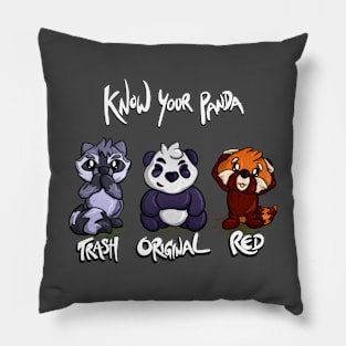 Know Your Panda Pillow