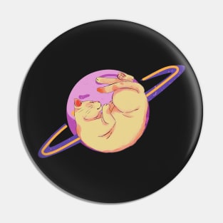 Aesthetic Cat And Saturn Pin