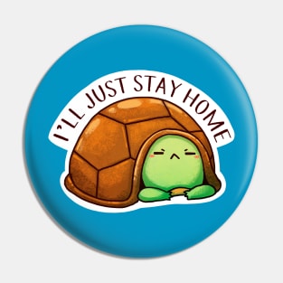 Turtle Home Pin