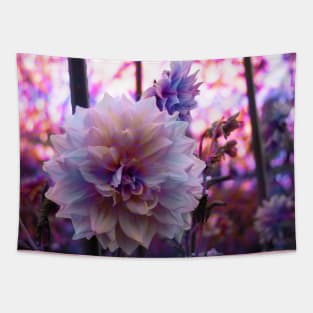 Pink Dahlia Tapestry