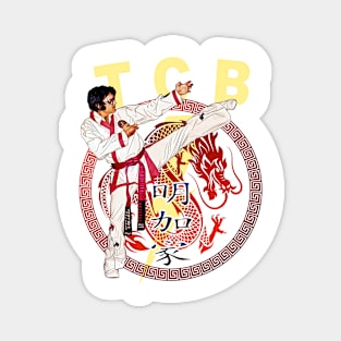 TCB Magnet