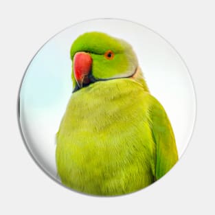 Rose-Ringed Parakeet (Ring-Necked Parakeet) Pin