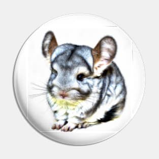 cute chinchilla 7 Pin