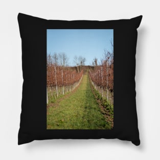 Autumn in the vineyards Pillow