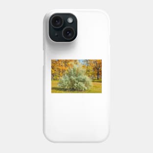 Cherry Creek Trail Study 2 Autumn Phone Case