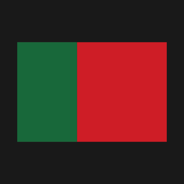 Portugal flag by Designzz