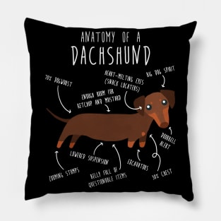 Chocolate and Tan Dachshund Dog Anatomy Pillow