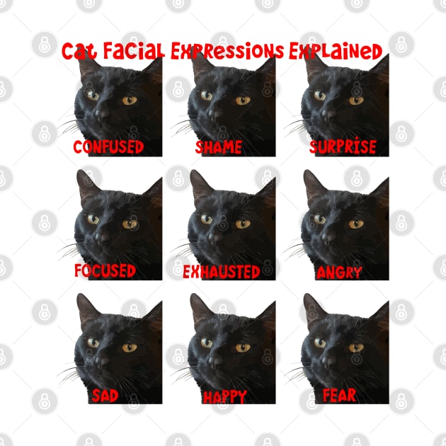 Cat Facial Expressions Explained Chart Cut Out by taiche