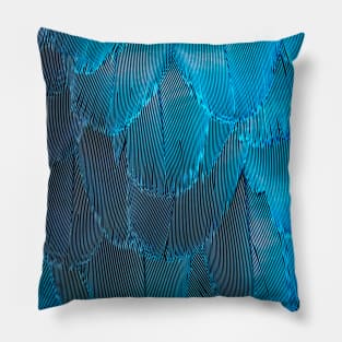 Feathers Pillow