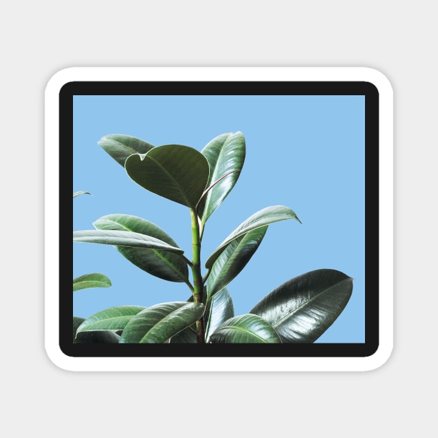 Graphic green botanicals, blue background Magnet by ColorsHappiness