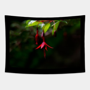 Fushia Tapestry