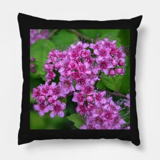 Cluster of Tiny Pink Flowers Photographic Image Pillow