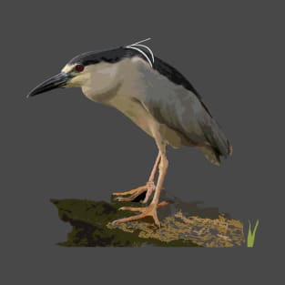 ‘Auku’u or black-crowned night heron T-Shirt