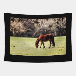 New Forest Pony Tapestry