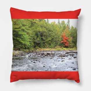 Rivers Edge - Algonquin Provincial Park Pillow