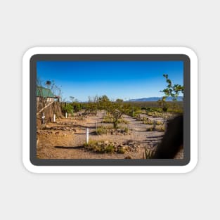 Allen Street in Tombstone, Arizona Magnet