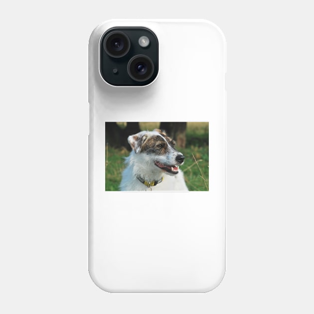 Harry the rescue crossbreed dog out on a walk Phone Case by jamesknightsart