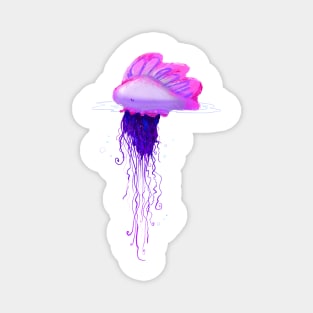 Portuguese man o war Magnet