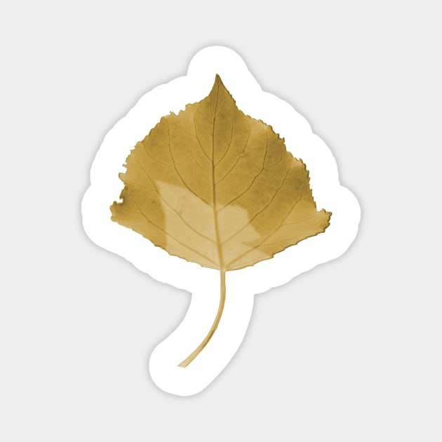 Yellow Leaf Magnet by wordsnclouds
