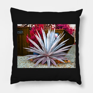 The Agave Pillow