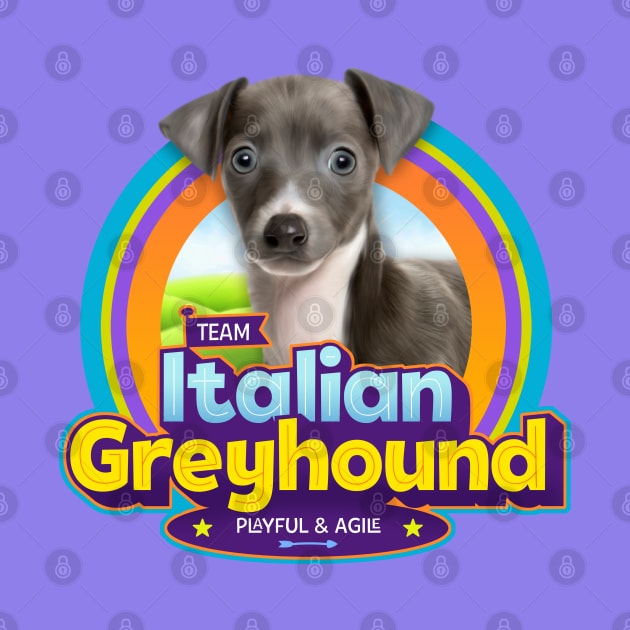 Italian Greyhound by Puppy & cute