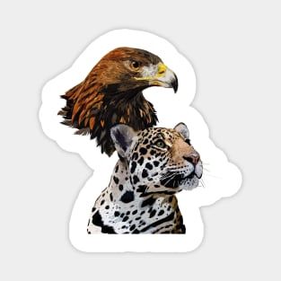 Golden Eagle and Jaguar Magnet