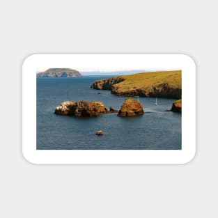 Channel Islands National Park Santa Cruz Island Magnet