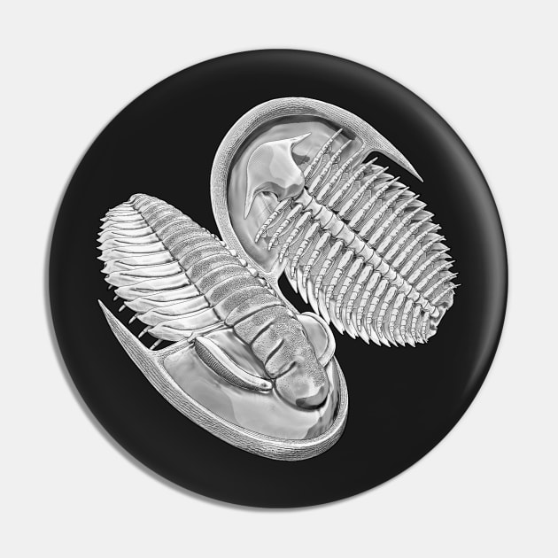 Estaingia bilobata, Cambrian trilobite Pin by KKpalaeoartist