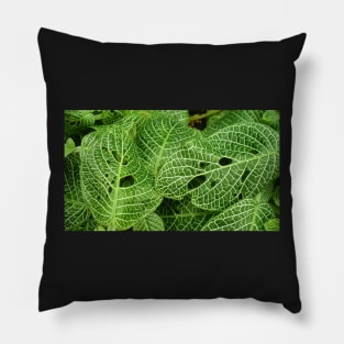 Green Leaves with White Veins Pillow