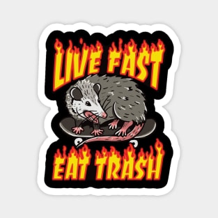 Live Fast Eat Trash Magnet