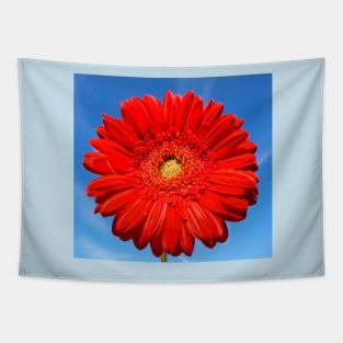 Red gerbera Tapestry