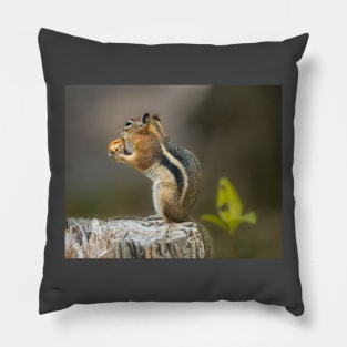 Golden-Mantled Ground Squirrel Pillow