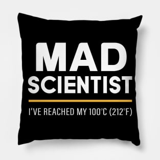 Mad Scientist Pillow