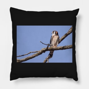 Kestrel Pillow