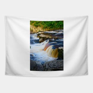 River Swale Falls at Richmond North Yorkshire Tapestry