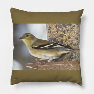 Goldfinch at Feeder No.2 Pillow