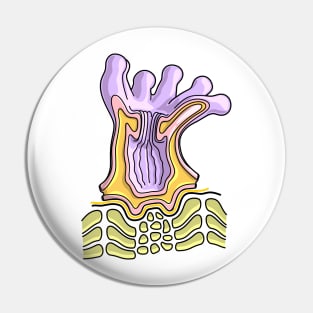 Coral Polyp Anatomy Diagram - Marine Biology Illustration Pin