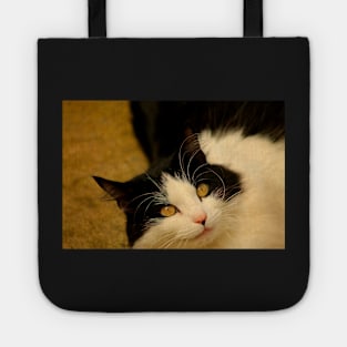 Hissy Miss Fliss Tote